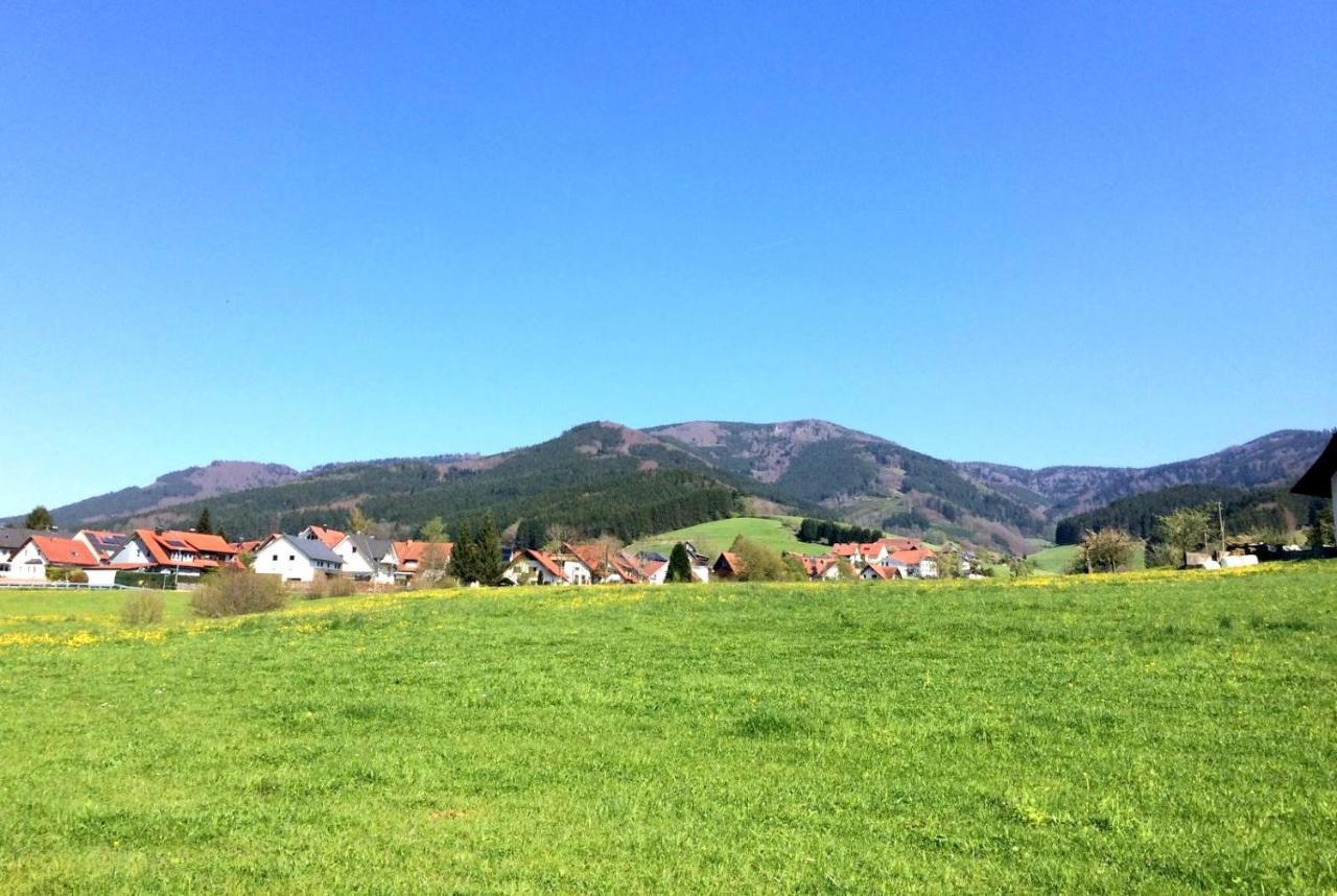 Gemuetliches Haus Im Herzen Des Schwarzwaldes Fuer Bis Zu 9 Personen Elzach Dış mekan fotoğraf