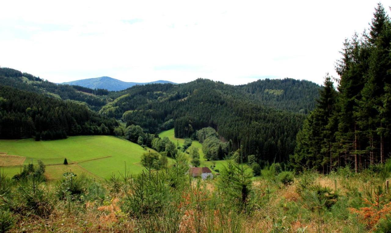 Gemuetliches Haus Im Herzen Des Schwarzwaldes Fuer Bis Zu 9 Personen Elzach Dış mekan fotoğraf