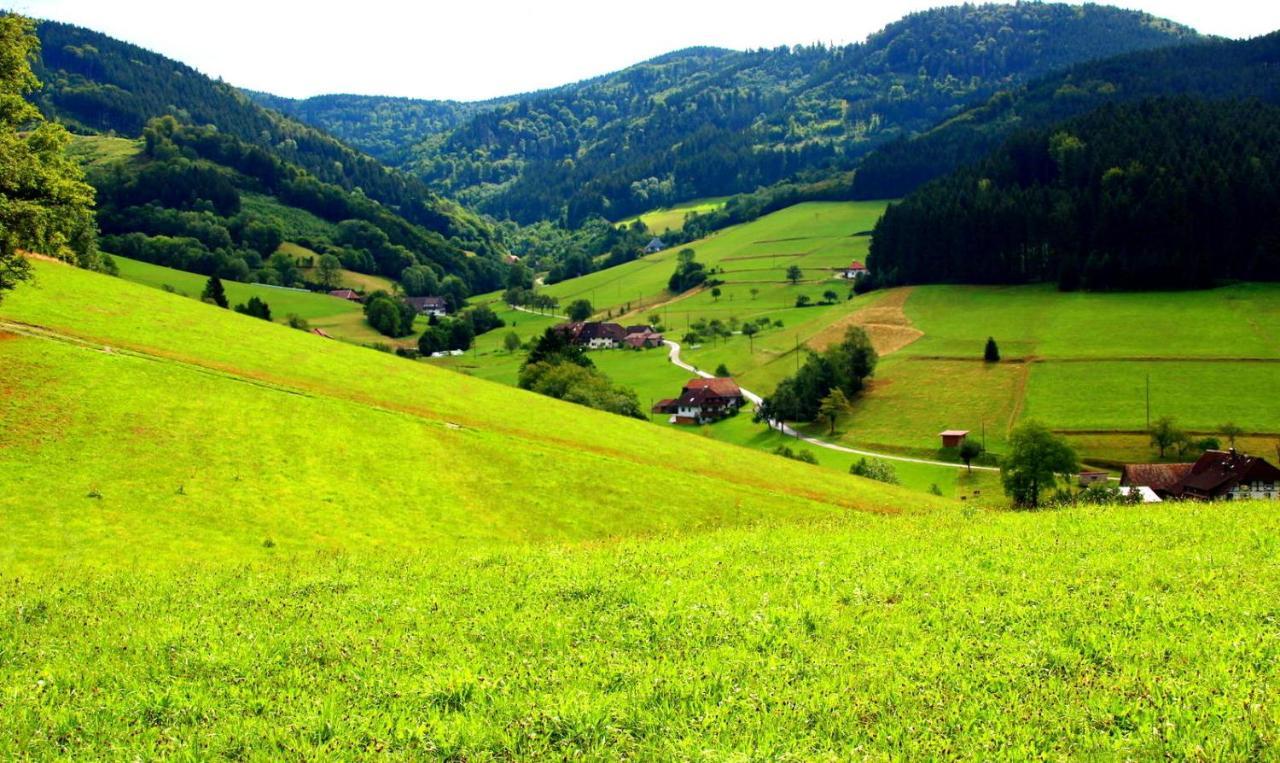 Gemuetliches Haus Im Herzen Des Schwarzwaldes Fuer Bis Zu 9 Personen Elzach Dış mekan fotoğraf